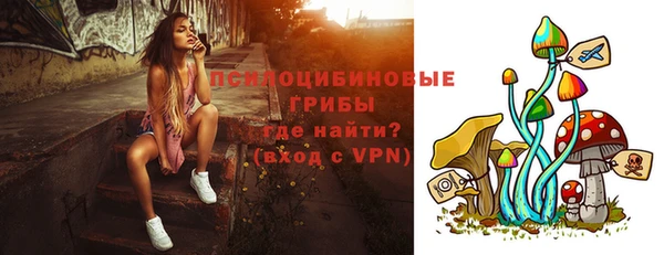 спайс Алексин