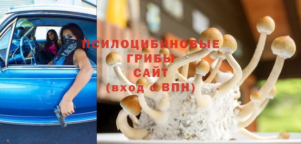 спайс Алексин